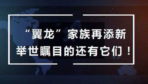 咕噜噜的爆料视频大全在线观看,揭秘幕后精彩瞬间