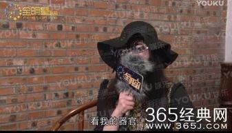 赵四最新爆料视频 第2张 赵四最新爆料视频 第2张